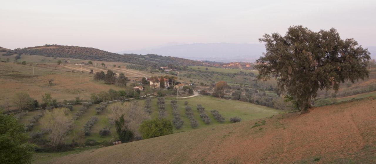 La Fondona Guest House Campagnatico Exterior photo